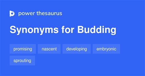 budding synonyms|budding antonyms.